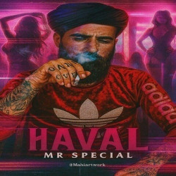 Mr Special - Haval