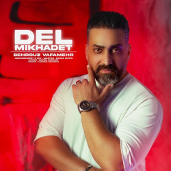 Behrouz Vafamehr - Del Mikhadet