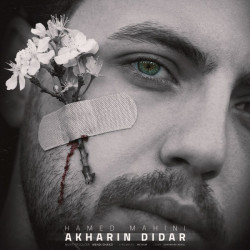 Hamed Mahini - Akharin Didar