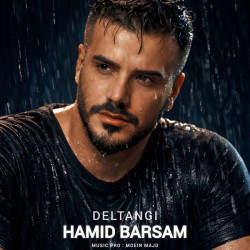 Hamid Barsam - Deltangi