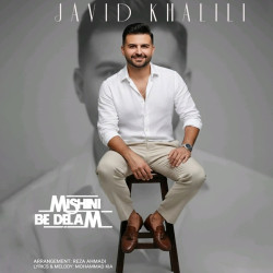 Javid Khalili - Mishini Be Delam