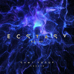 Sami Yusuf Ft Voces8 - Being
