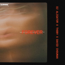 Dj Aligator - Forever (Extended)