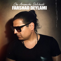 Farshad Deylami - Che Arameshe Delchasbi