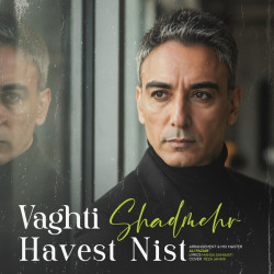 Shadmehr Aghili - Vaghti Havaset Nist (New Version)
