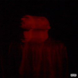 Alireza Sarpas - Cardinal