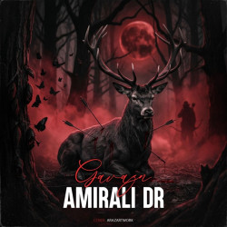 Amirali Dr - Gavazn