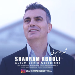 Shahram Abdoli - Gulum Senin Gojaginda