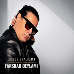 Farshad Deylami - Ehsase Ghalbamo