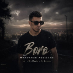 Mohammad Abotalebi - Boro