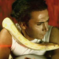 Mehdi Moghadarian - Havasbaz