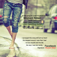 Meysam Akbari - Tanhat Nemizaram