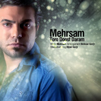 Mehrsam - Toro Dooset Daram