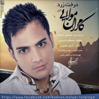Kamran Molaei - Derakhte Zard