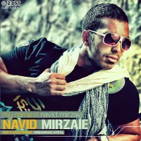 Navid Mirzaie - Navid Mix