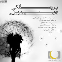 Pouya Saleki - Behtarin Hadese