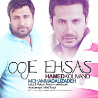 Hamed Kolivand Ft Mohammad Alizadeh - Owje Ehsas