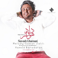 Siavash Ghamsari - Dado Havar