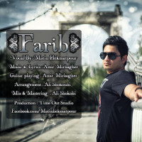 Matin Hekmatpour - Farib