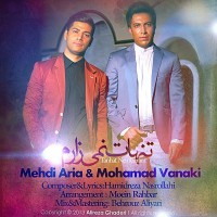 Mehdi Aria & Mohamad Vanaki - Tanhat Nemizaram
