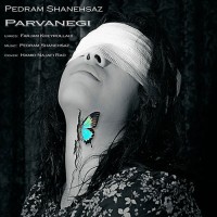 Pedram Shanehsaz - Parvanegi