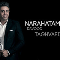 Davood Taghvaei - Narahatam