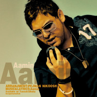 AaMin - Dige Bargard