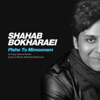 Shahab Bokharaei - Pishe To Mimoonam