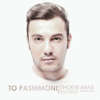 Shoeib Arab - To Pashimooni