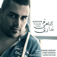 Bahador - To Gonahi Nadari