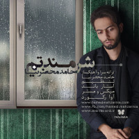 Hamed Mahzarnia - Sharmandatam