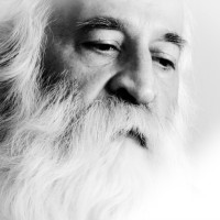 Sina Sarlak - Dar Sooge Ostad Lotfi