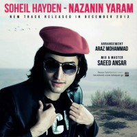 Soheil Hayden - Nazanin Yaram