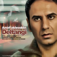 Amir Fakhreddin - Deltangi