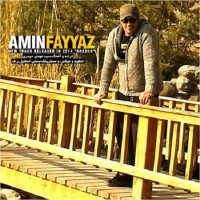 Amin Fayyaz - Arezoo