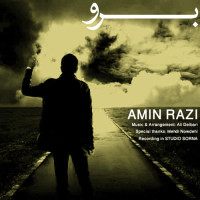 Amin Razi Ft Ali Delbari - Boro