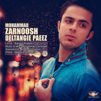 Mohammad Zarnoosh - Deltangie Paeez