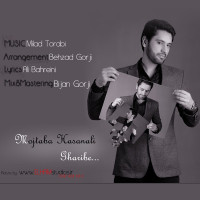 Mojtaba Hasanali  - Gharibeh