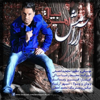 Amir Bayat - Aramesh