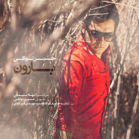 Hossein Tavakoli - Baroon