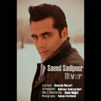 Saeed Sadipour - Divar