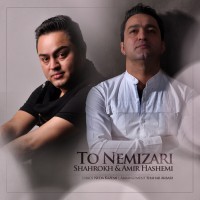 Shahrokh & Amir Hashemi - To Nemizari