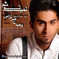 Vahid Nasertorabi - Nemitoonam