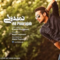 Ali Poorajab - Nemidooni