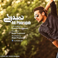 Ali Poorajab - Nemidooni
