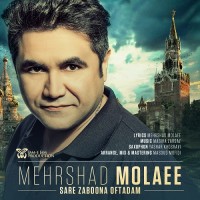 Mehrshad Molaee - Sare Zaboona Oftadam