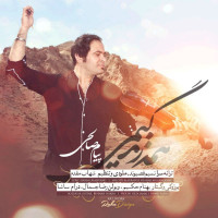 Payam Salehi - Hame Zendegimi