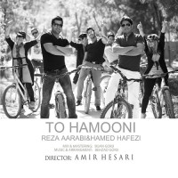 Reza Aarabi & Hamed Hafezi - To Hamooni