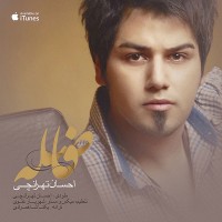 Ehsan Tehranchi - Faseleh