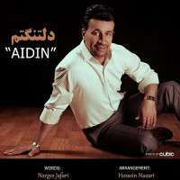 Aidin Ghanbari - Deltangetam